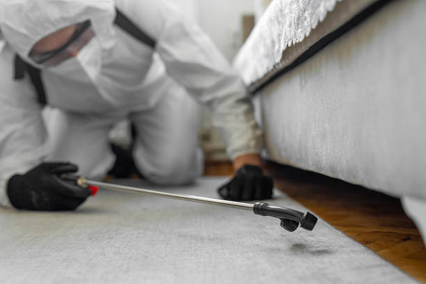 Professional Ant Control technician working in Harbor Isle, NY